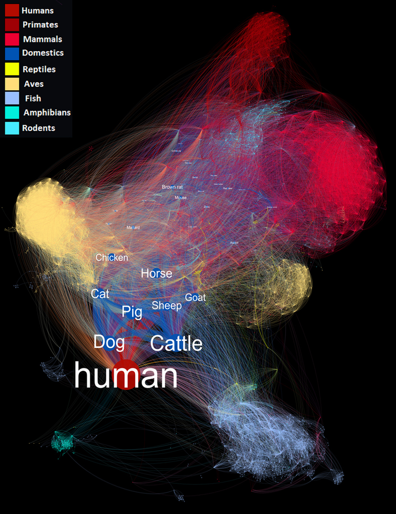 Illustration for article titled This Jaw-Dropping Visualization Shows the Extent to Which Diseases Spread Among Species